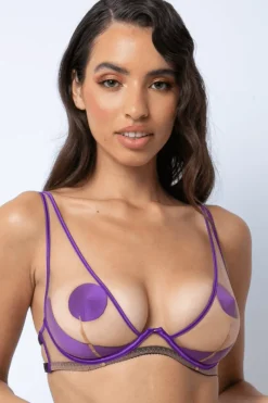 Sheer Lingerie | Plunge Bras>Edge o' Beyond Barbie High Apex Bra in Amethyst