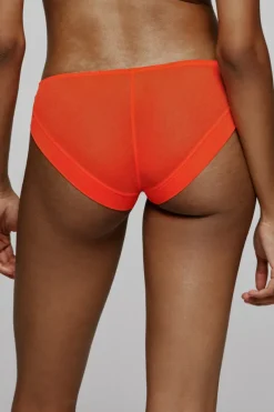 Briefs><noscript><img width=