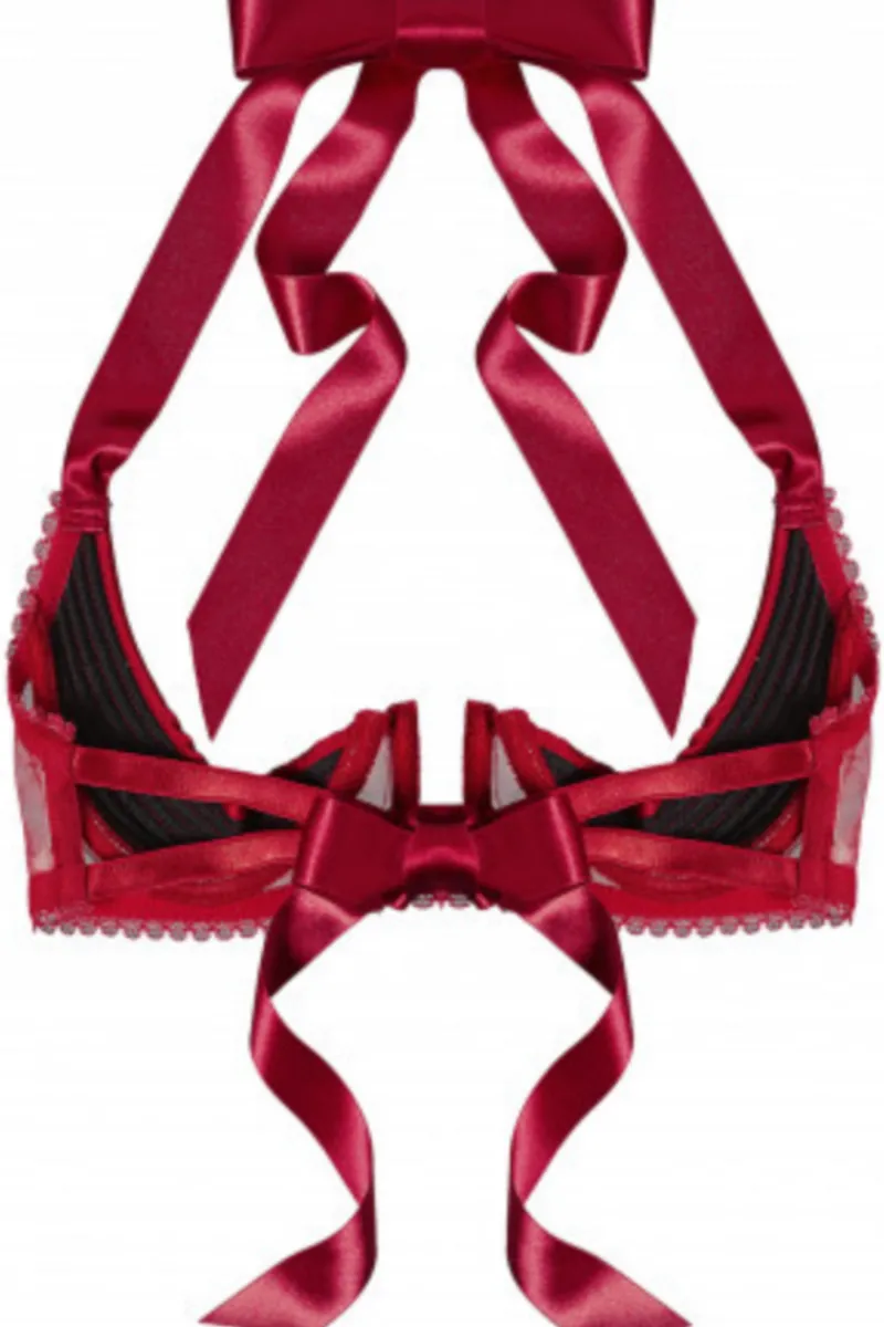 Red Lingerie | Sexy Lingerie>Cadolle Chic Satin & Mesh Quarter Cup Bra in Red