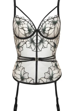 Sheer Lingerie | Underwired Bras>Prelude Delicate Nymph Basque Black/Green