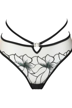 Sheer Lingerie | Briefs>Prelude Delicate Nymph Brief Black/Green
