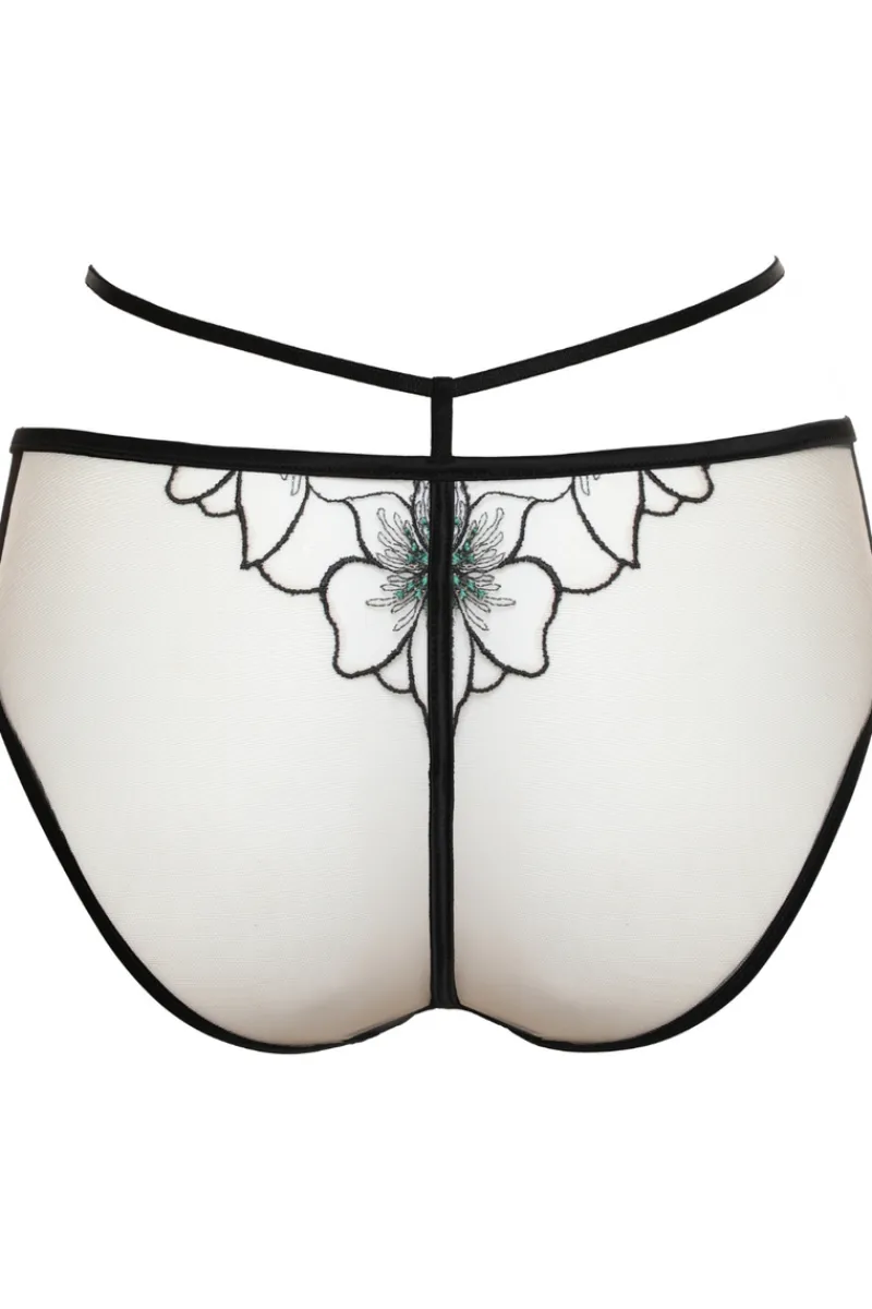 Sheer Lingerie | Briefs>Prelude Delicate Nymph Brief Black/Green