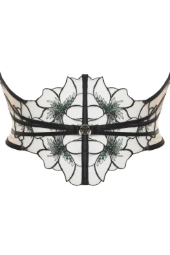 Waist Cinchers | Waist Cinchers>Prelude Delicate Nymph Waist Cincher Black/Green