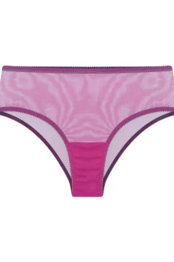 Sheer Lingerie | High Waist Thongs And Knickers>Dora Larsen Edith Tulle High Waist Knicker Purple