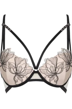 Push Up Bras | Plunge Bras>Prelude Greta Push Up Bra Nude/Black