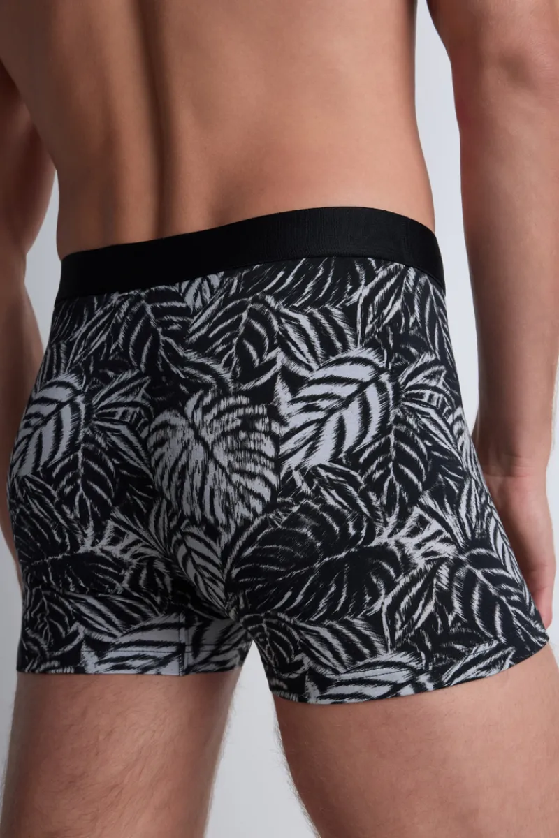 Sexy Lingerie | Luxury French Lingerie>Aubade Homme Men's Gots® Cotton Tropical Boxer