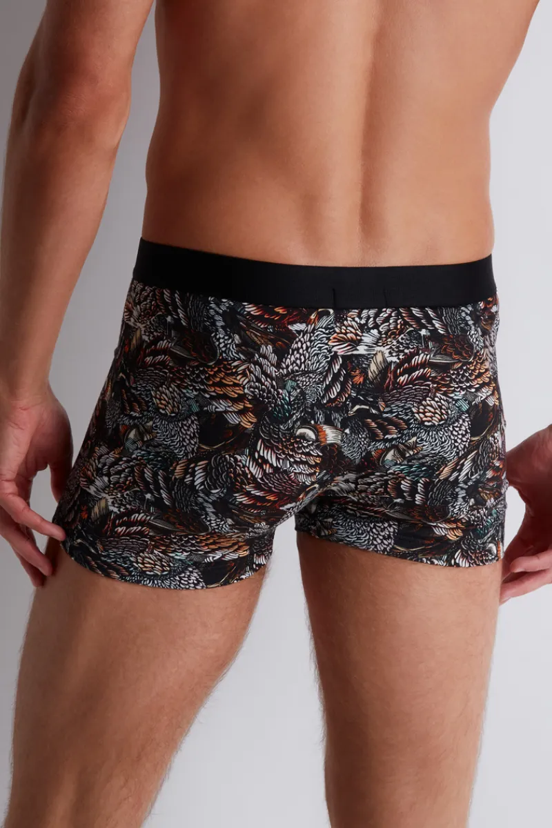 Sexy Lingerie | Luxury French Lingerie>Aubade Homme Men's Modal Cotton Owls Boxer