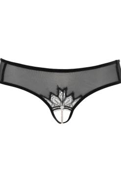 Sexy Lingerie | Sheer Lingerie>Bracli Kyoto Daisy Brief Black