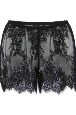 Shorties | Briefs>Lingadore Lace Shorty, Size XL (UK 16) Black