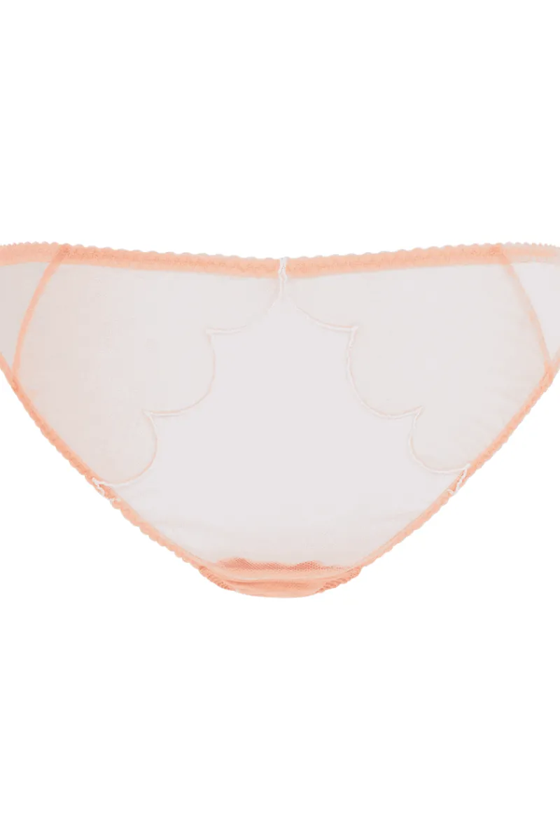 Sheer Lingerie | Briefs>Agent Provocateur Lorna Brief in Sand