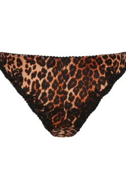 Briefs><noscript><img width=