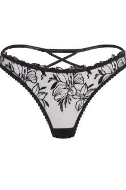 Sheer Lingerie | Briefs>Agent Provocateur Ozella Brief Black