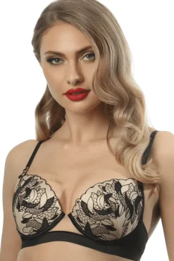 Push Up Bras | Plunge Bras>Prelude Rita Push Up Bra Black