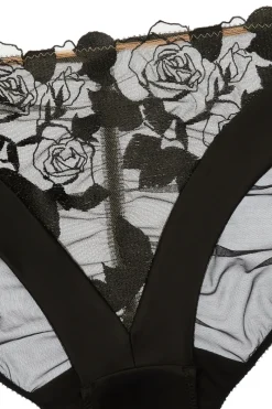 Sheer Lingerie | Briefs><noscript><img width=