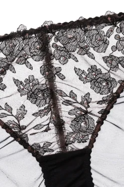 Sheer Lingerie | Briefs><noscript><img width=