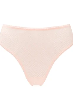 £30 And Under | Briefs>Nudea Sheer Deco High Leg Brief in Blush Pink