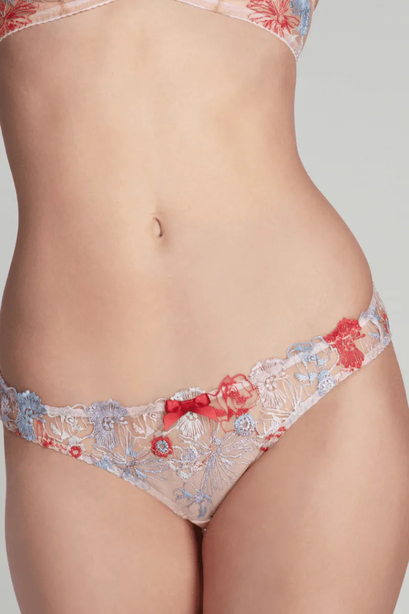Red Lingerie | Sheer Lingerie>Agent Provocateur Zuri Brief, Size 5 (UK 14) Red/Blue/Sand