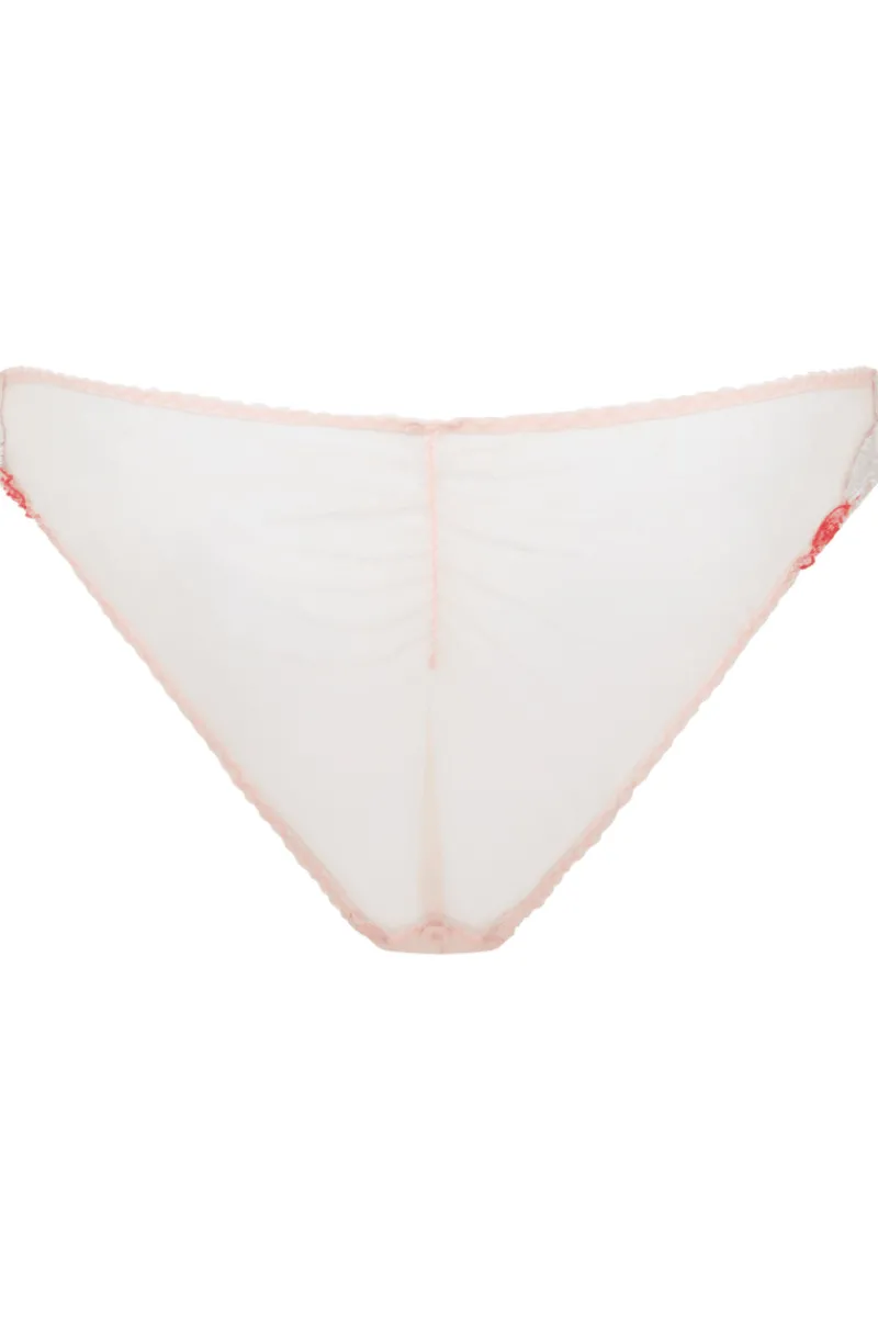 Red Lingerie | Sheer Lingerie>Agent Provocateur Zuri Brief, Size 5 (UK 14) Red/Blue/Sand